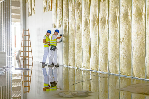 Best Commercial Insulation in Merrill, WI